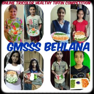13.09.2021 Online tricolor health tiffin competition